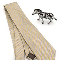 Charvet tie