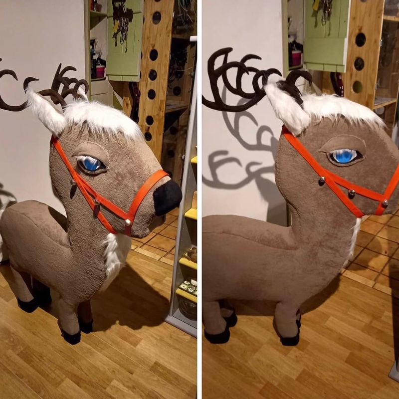 Petite photo dessous présentation