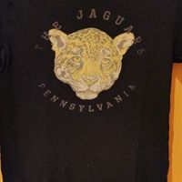 Tee shirt Kiabi 12ans 