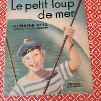 Le petit loup de mer 