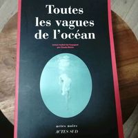 Toutes Les Vagues de L'Océan Roman