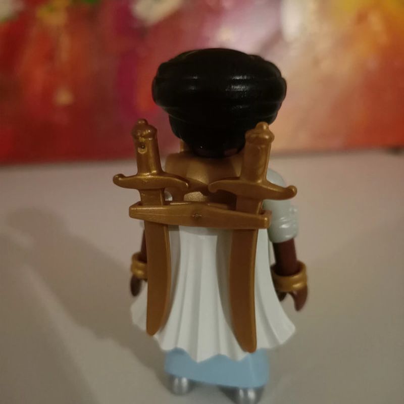Petite photo dessus présentation