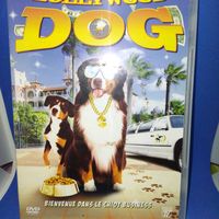 DVD Hollywood dog 
