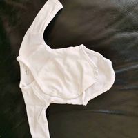 Bodies 