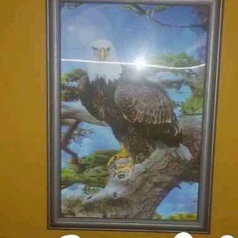 Grande photo présentation produit