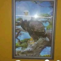 Cadre oiseau