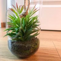 Terrarium artificiel 