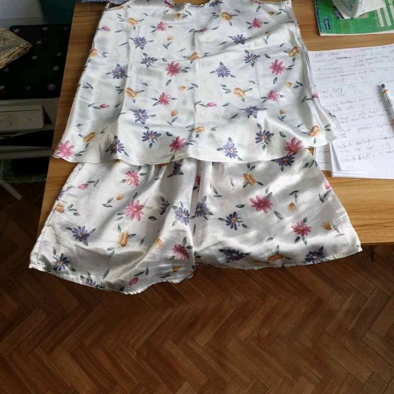 Petite photo dessus présentation