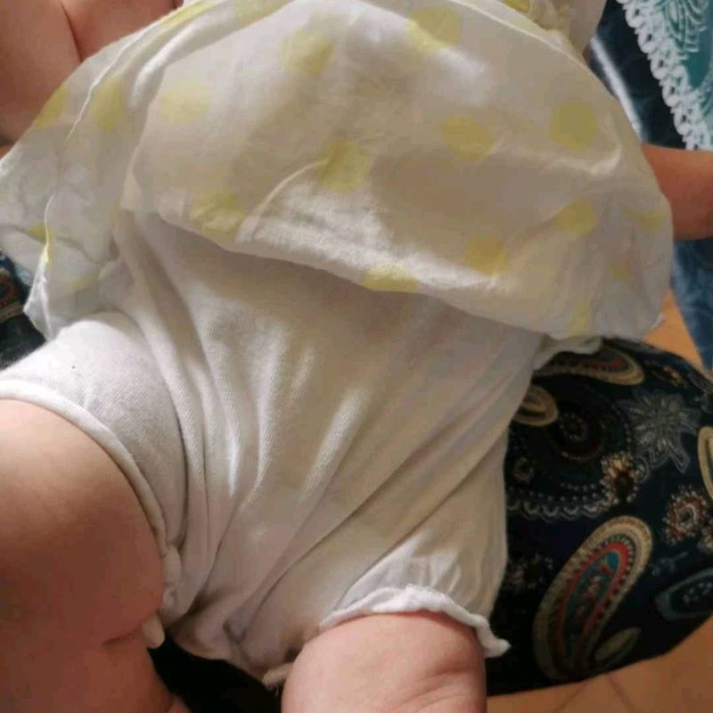 Petite photo dessus présentation