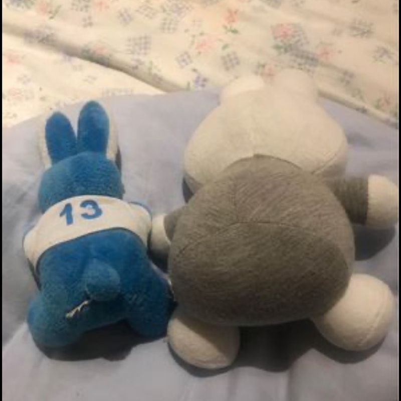 Petite photo dessus présentation
