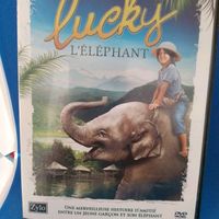 DVD lucky 