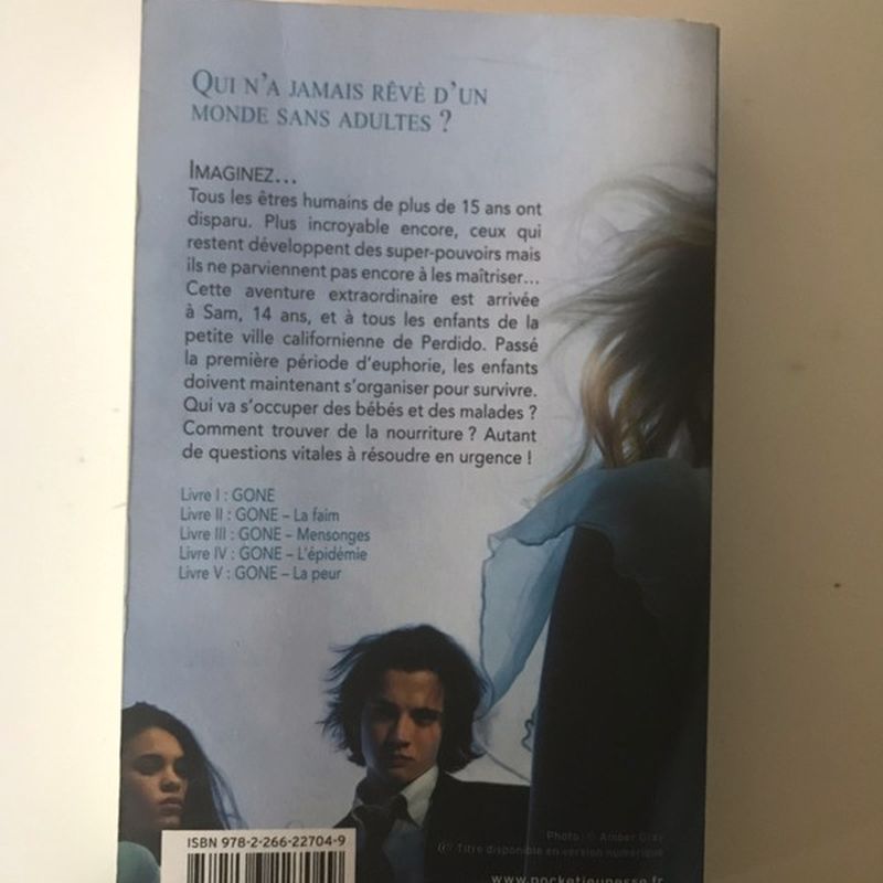 Petite photo dessus présentation