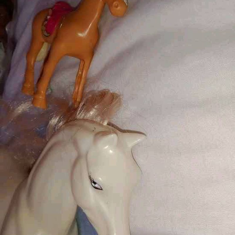 Petite photo dessous présentation