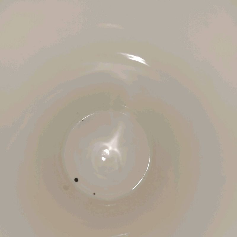 Petite photo dessus présentation