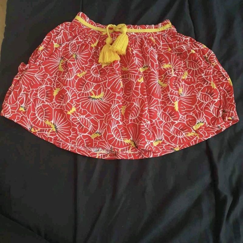 Petite photo dessous présentation