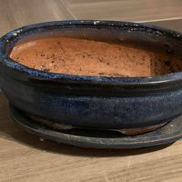 Pot à bonsaï en céramique