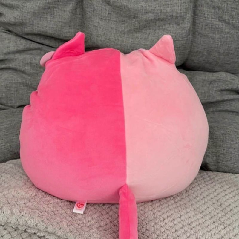 Petite photo dessus présentation