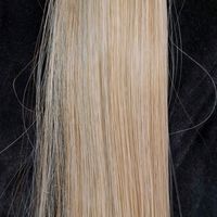 Ponytail 27/213 blond Neuf