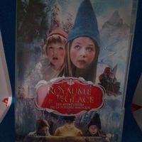 DVD le royaume de glace 