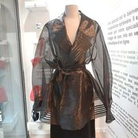 Veste transparente noir 