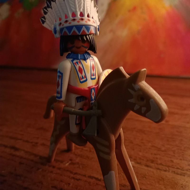 Petite photo dessus présentation