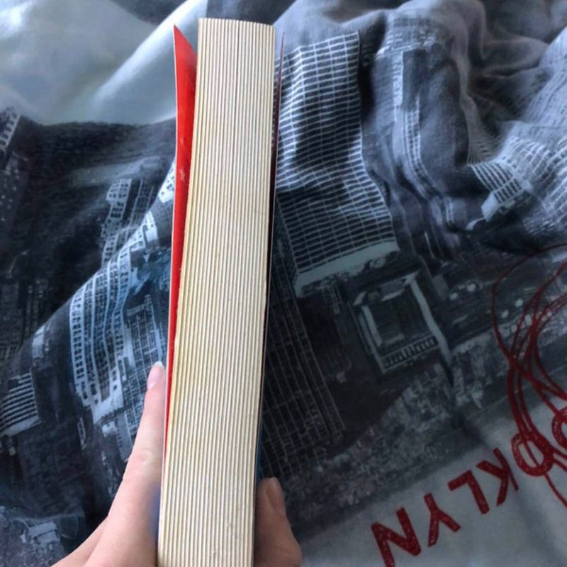 Petite photo dessus présentation