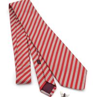 Charvet tie