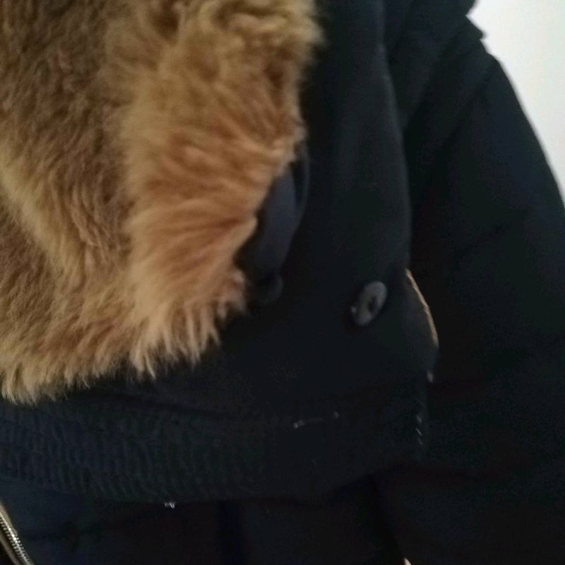 Petite photo dessus présentation