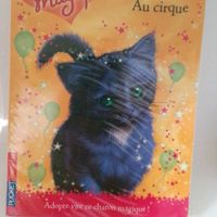 Livre les chatons magiques 