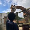 Media de profil