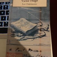 Victor Hugo Â«Â Les chÃ¢timentsÂ Â»