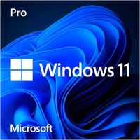 Licence Windows 11/10 , Pro et Famille