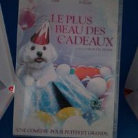 DVD le plus beau des cadeaux 