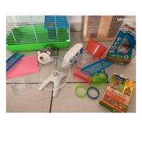 Cage hamster /gerbille /souris 