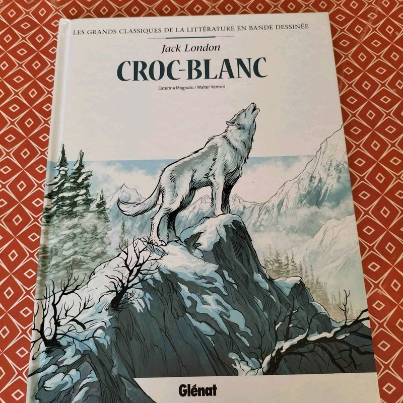 Grande photo présentation produit