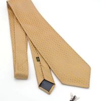 Charvet tie