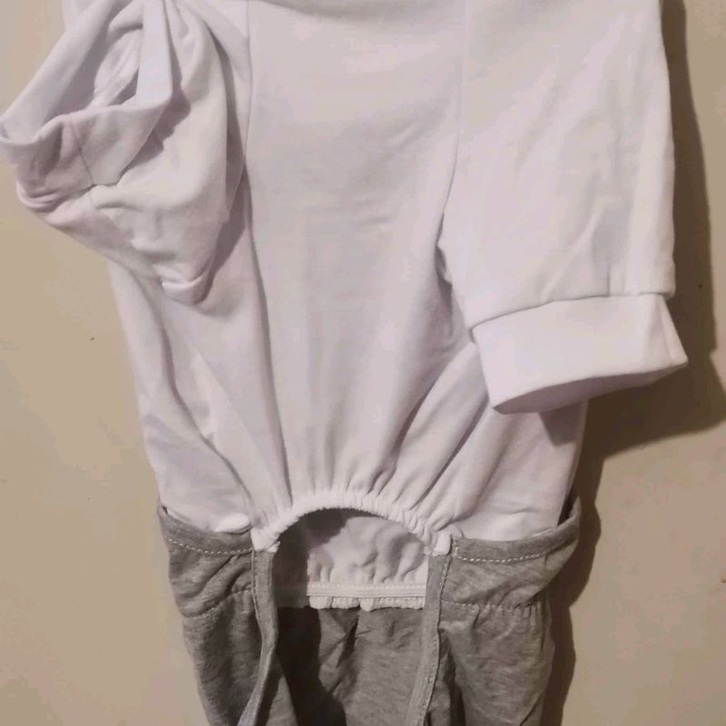 Petite photo dessus présentation
