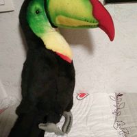 Peluche grand toucan
