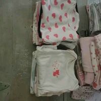 Lot 23 bodys 