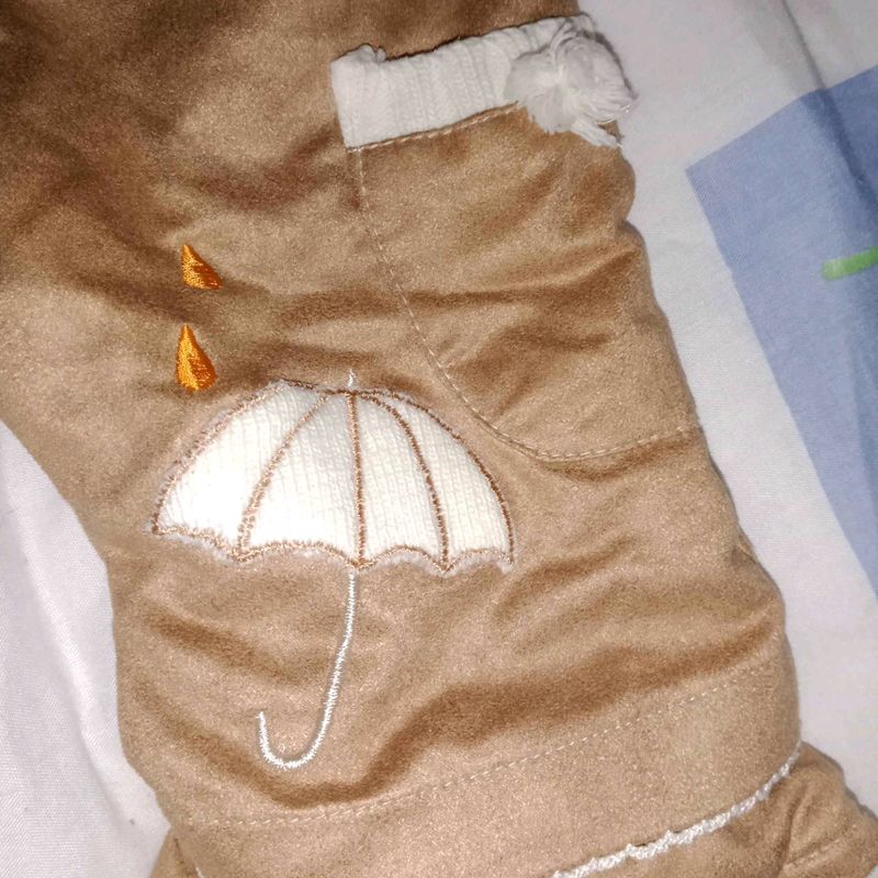 Petite photo dessus présentation