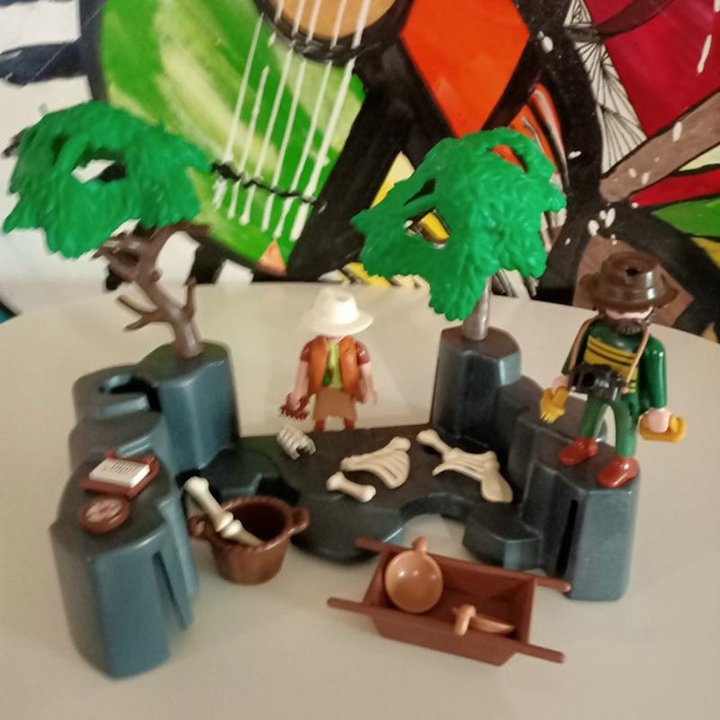 Petite photo dessus présentation