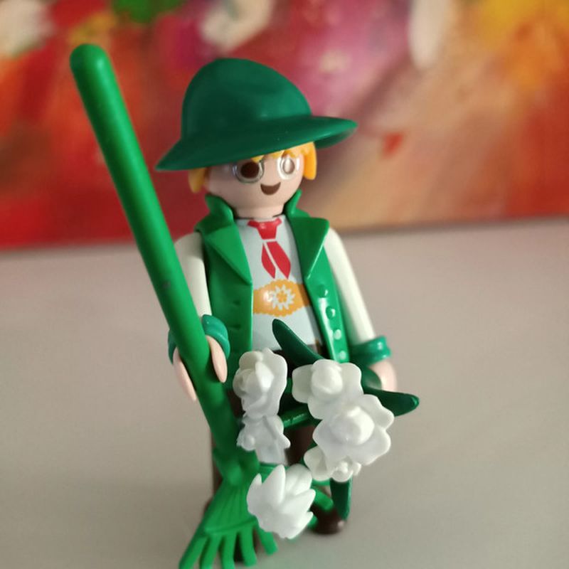 Petite photo dessus présentation