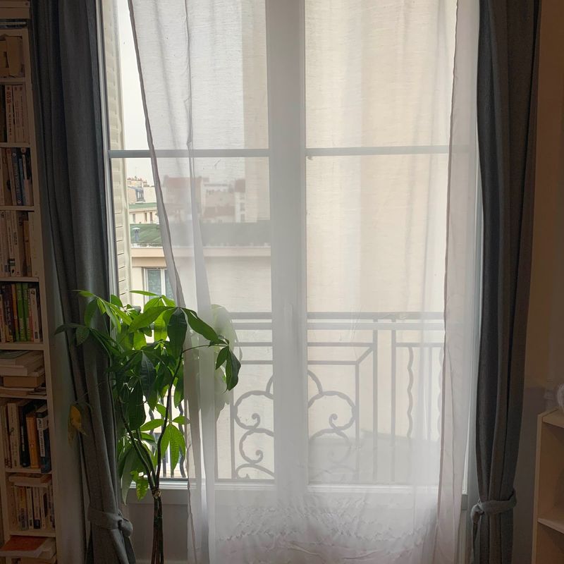 Petite photo dessous présentation