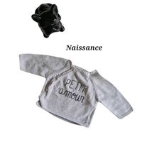 Pull gris - Taille naissance - In extenso