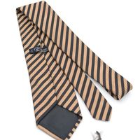 Charvet tie